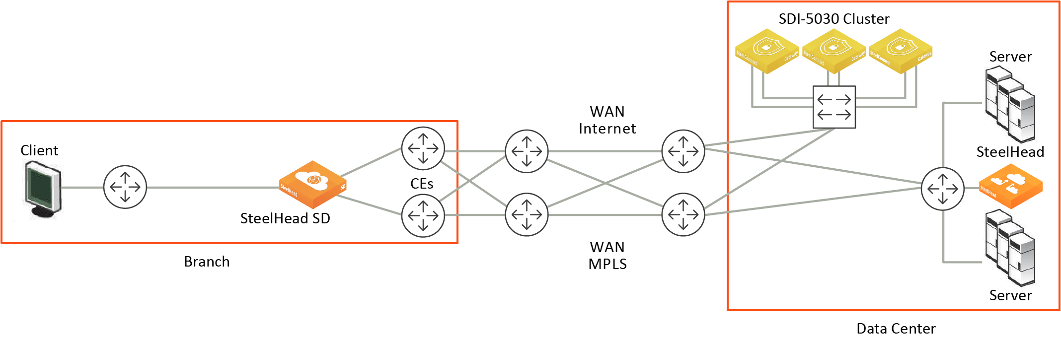 Introducing SteelHead SD